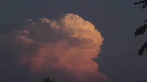 Sunrise orange cloud with palm trees 库存影片 76703226