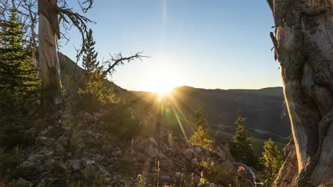 Sunrise out of mountain range framed by trees Stock-Footage 167550335