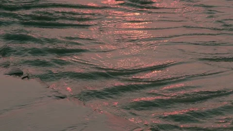 Sunrise Outgoing Tidal Current Ripples on Seabrook Island Stock Footage 314969612