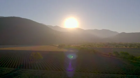 Sunrise Over Agave Fields: Aerial Shot Stock Footage 248092669