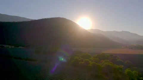Sunrise Over Agave Fields: Aerial Shot Stock Footage 248093229