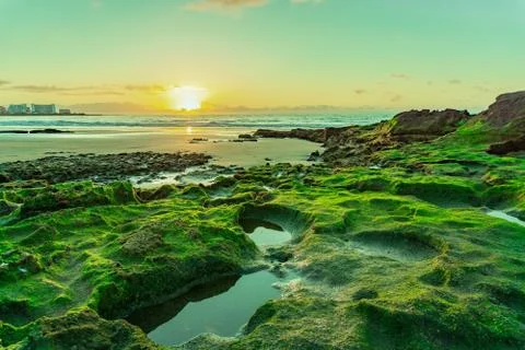Sunrise over the atlantic with algae rocks Stock Photos
