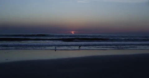 Sunrise over the Atlantic  Beach,  Florida, United States Stock Footage 60728517