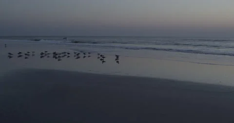 Sunrise over the Atlantic  Beach,  Florida, United States Stock Footage 60729182