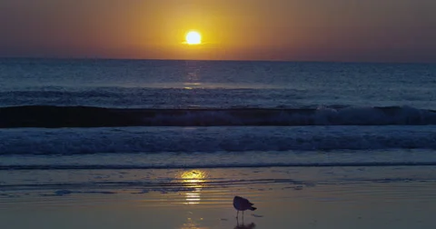 Sunrise over the Atlantic  Beach,  Florida, United States Stock Footage 62198379