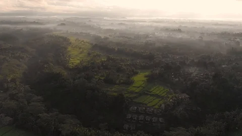 Sunrise over Bali fields Vídeos de archivo 96372251