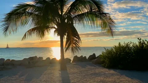 Sunrise over the beach Stock Footage 242468288