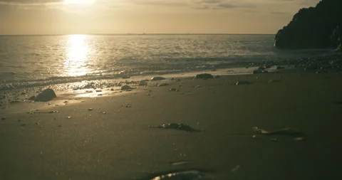Sunrise over calm water at Easington beach #5 - 4K Footage Stock-Footage 270172413