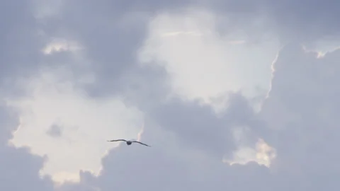 Sunrise Over Clouds in Cancun, Mexico. Caribbean Sea Stock Footage 236104447