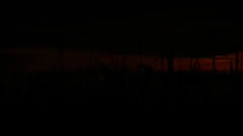 Sunrise over a corn field. Vídeos de archivo 8944830