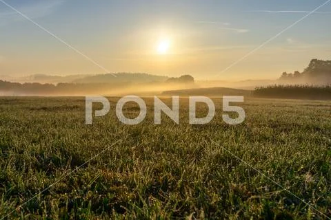 Sunrise over a cornfield with fog, grass in the foreground Stock Photos