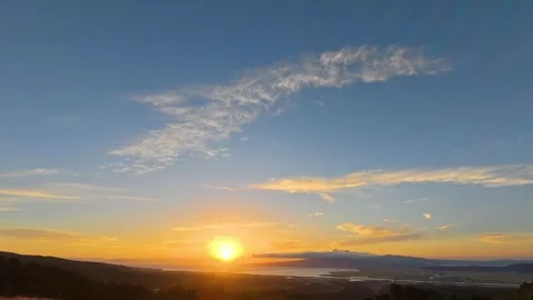 Sunrise Over a Cosmos Flower Field – Timelapse Video Vídeos de archivo 336972453