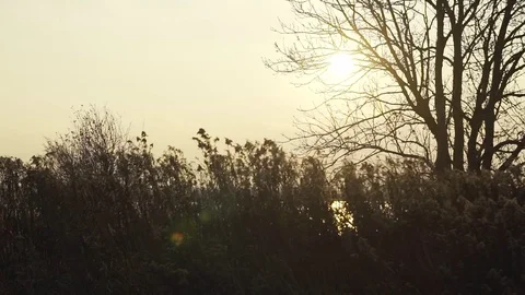 Sunrise over the crops Stock Footage 69780286