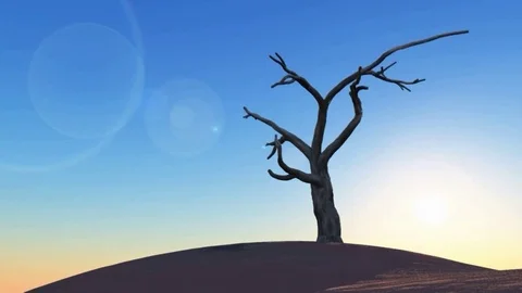 Sunrise over a desert landscape Stock Footage 82397691