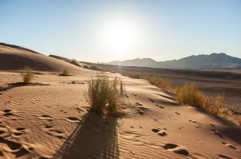 Sunrise over the Desert Stock Photos