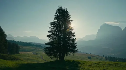 Sunrise over the Dolomites with a Lone Pine Tree Silhouetted in Morning Light 库存影片 331163918