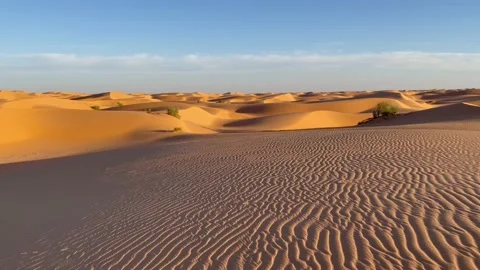 Sunrise over the dunes 스톡 동영상 197484403