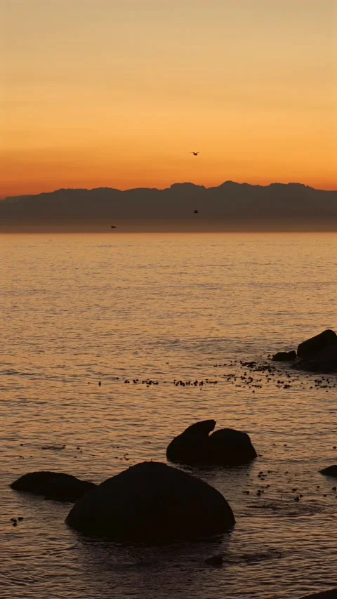 Sunrise over False Bay with ocean waves and flying seabirds, South Africa Stock Footage 340522545