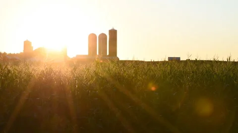 Sunrise Over Farm Stock Footage 54074753