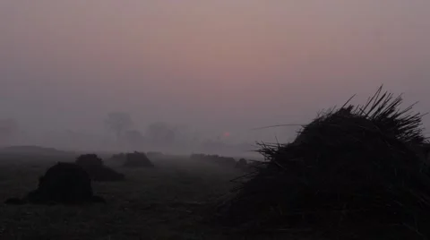 Sunrise over field 動画素材 46005660