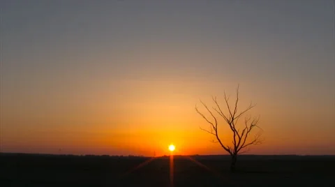 Sunrise over a field. Stock Footage 49800519