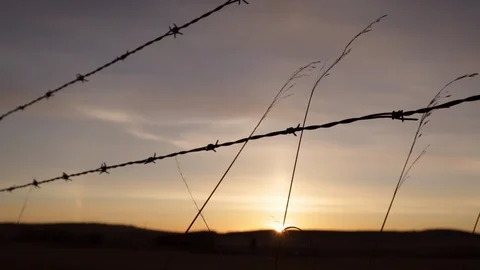 Sunrise over field Stock Footage 115010995