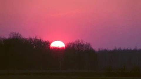 Sunrise over a field with trees in the distance. Stock Footage 74443749