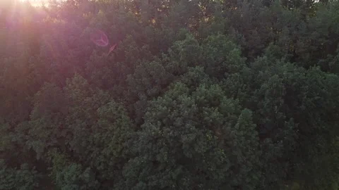 Sunrise over the fields, farmland, flight over the forest and fields early in Stock Footage 133535209