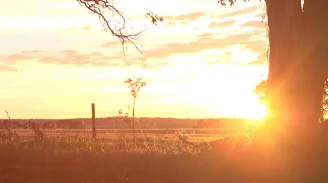 Sunrise over fields TIMELAPSE Stock Footage
