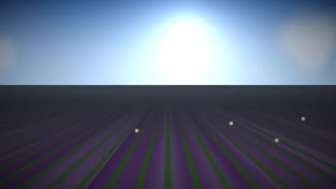 Sunrise over flat landscape with purple fields and distant Stock Footage 338230231