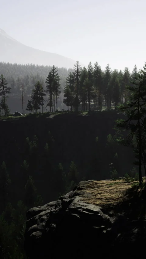 Sunrise over forest and cliff in remote location Video stock 335092870