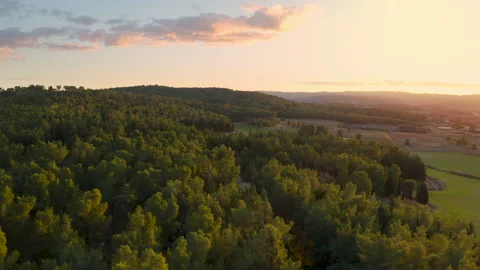 Sunrise over forest and fields - drone Stock Footage