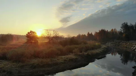 Sunrise over the forest and river, aerial view Stock Footage 99153791