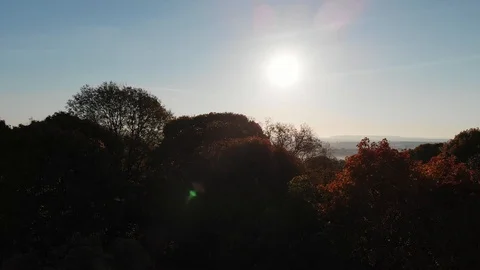 Sunrise Over the Forest, Fog in the Fields Stock Footage 99144023