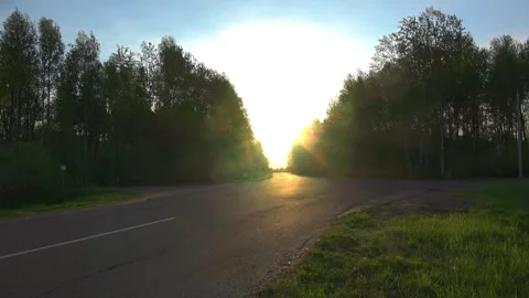 Sunrise over the forest Stock Footage 274201789