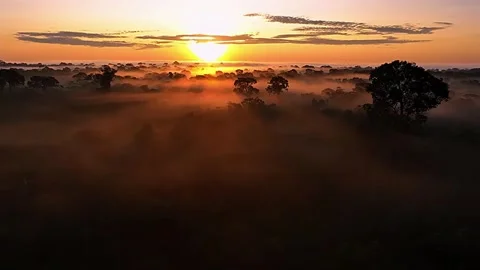 Sunrise Over Forest Landscape Stock Footage 323142620