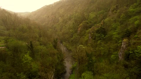 Sunrise over forest, magical view 스톡 동영상 244309043