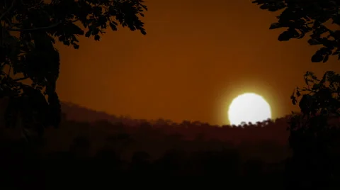 Sunrise Over Forest Motion Graphic Stock Footage 51553430