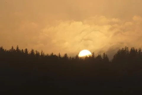 Sunrise over the forest Stock Photos