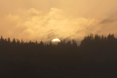 Sunrise over the forest Stock Photos