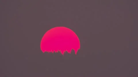  sunrise over the forest in spring  Stock Footage 264839186