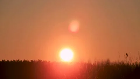 Sunrise over the forest. Time lapse summer or spring sunrise. Stock Footage 302705804