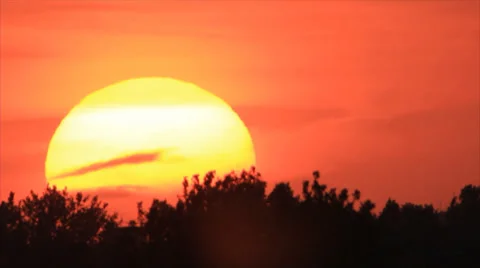 Sunrise over forest trees Stock Footage 33221125