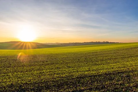 Sunrise Over Green Fields With Sunlight Shining Across the Landscape and Tr.. Stock Photos