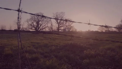 Sunrise Over Greenfield Barbed wire fence Stock Footage 171065217
