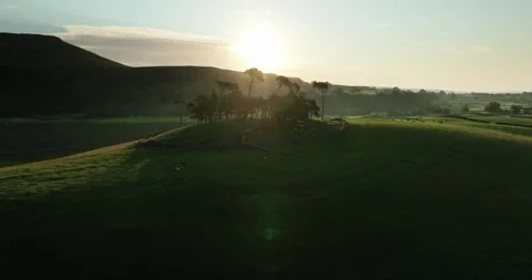 Sunrise over group of trees and green valley in Yorkshire Dales Stock Footage 312430108