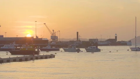Sunrise over harbour Stock Footage