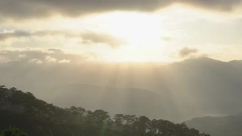 Sunrise over hillside a pine forest with long sun rays pass through valley Stock Footage 147019668