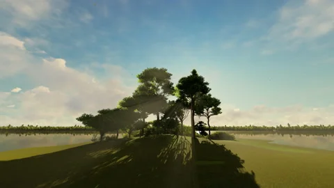 Sunrise over island and sunrays breaking through the pine trees, 4K 스톡 동영상 194417088