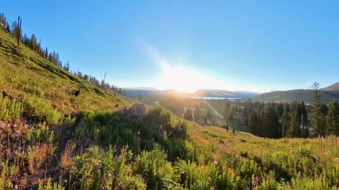 Sunrise Over Jackson Lake and Wildflowers Stock Footage 307910044